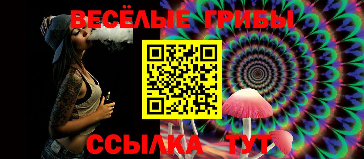 купить закладку  Вход с VPN  Феодосия  Псилоцибиновые грибы ЛСД  Галлюциногенные грибы Psilocybe 